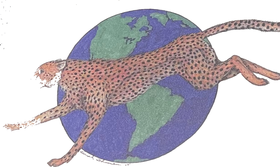 Cheetah Maintenance Cleaning logo — a cheetah leaping over the globe